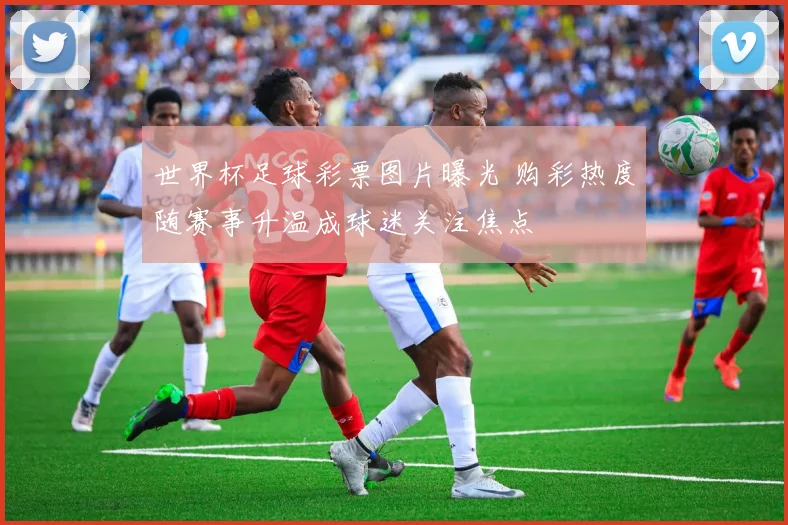 世界杯足球彩票图片曝光 购彩热度随赛事升温成球迷关注焦点