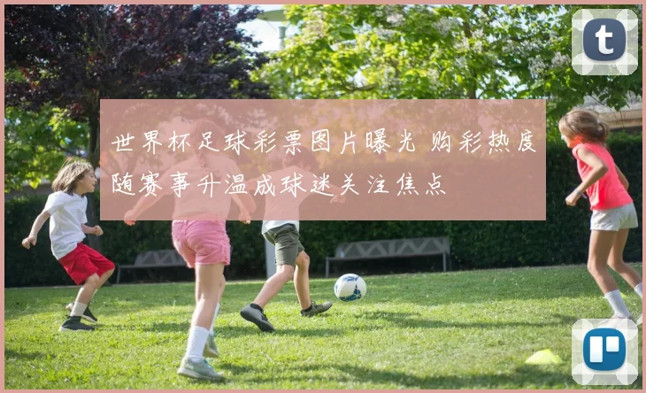 世界杯足球彩票图片曝光 购彩热度随赛事升温成球迷关注焦点
