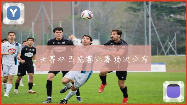 世界杯已完赛比赛场次公布