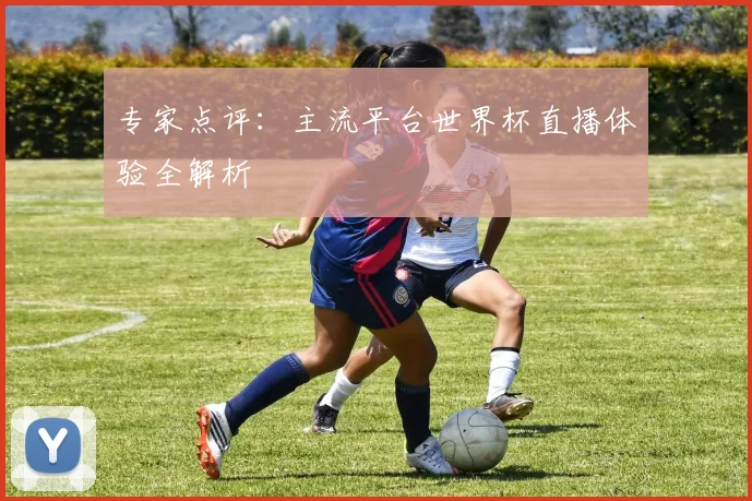 专家点评：主流平台世界杯直播体验全解析