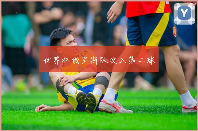 世界杯俄罗斯队攻入第二球